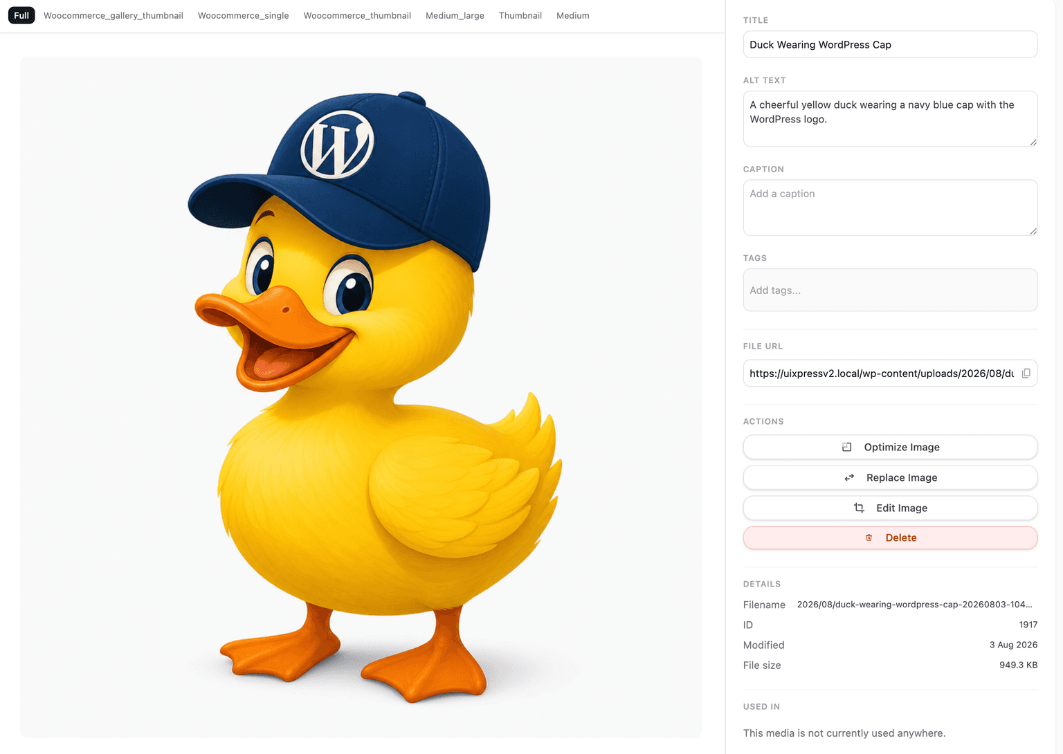 uiXpress media library with image details and editing tools