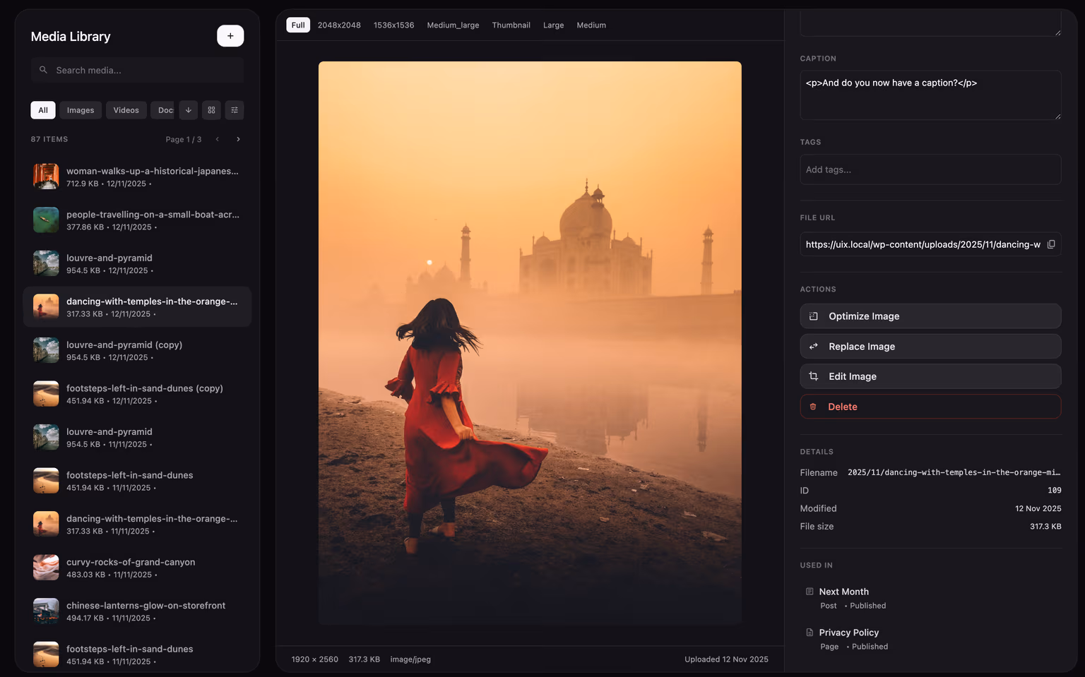 Enhanced media library interface with grid and list views